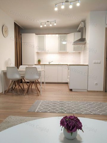 Kiadó téglalakás, albérlet, Szolnokon 210 E Ft / hó, 1+2 szobás
