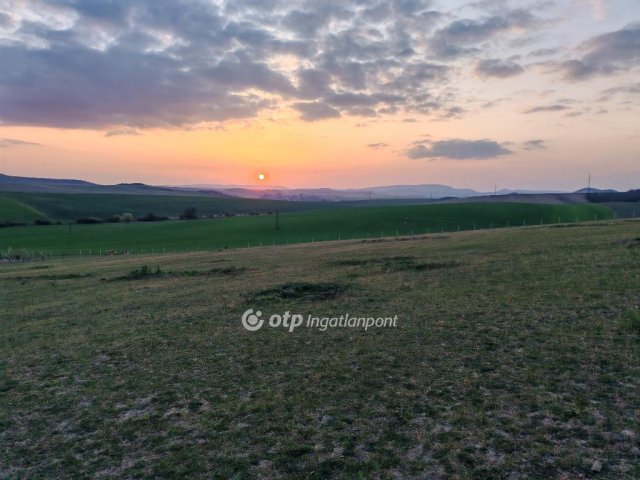 Eladó mezogazdasagi ingatlan, Szomoron 35 M Ft