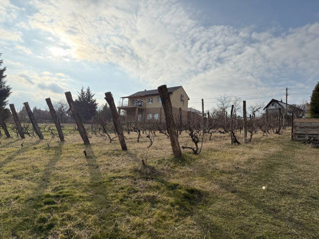 Eladó telek, Pákozdon 30 M Ft / költözzbe.hu