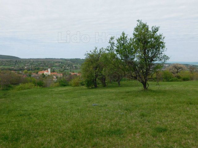 Eladó telek, Kőröshegyen 37 M Ft / költözzbe.hu