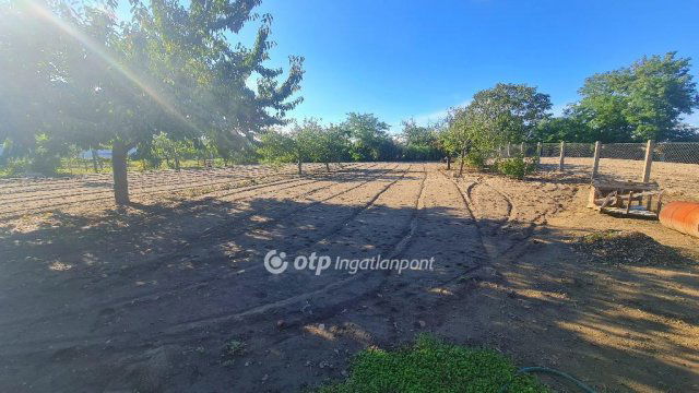 Eladó családi ház, Tenken 78 M Ft, 5 szobás