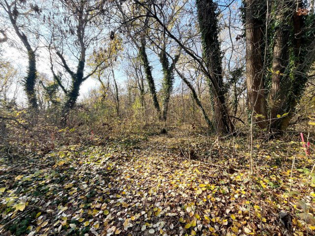 Eladó telek, Dömsödön 11.6 M Ft / költözzbe.hu