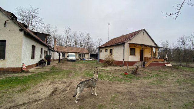 Eladó mezogazdasagi ingatlan, Lajosmizsén 83.5 M Ft, 4 szobás