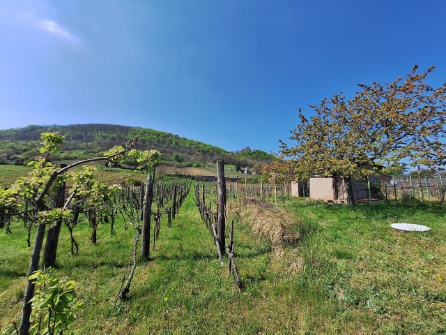 Eladó nyaraló, Dobán 14.9 M Ft, 2 szobás / költözzbe.hu