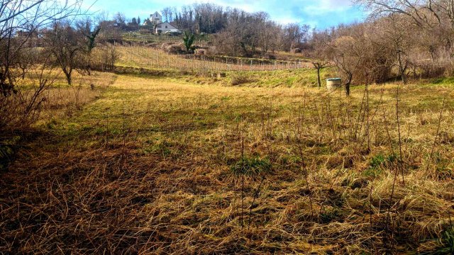 Eladó mezogazdasagi ingatlan, Lesencetomajon 3.1 M Ft