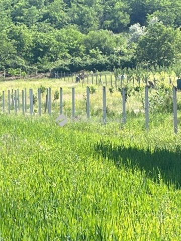 Eladó telek, Ikladon 25 M Ft / költözzbe.hu