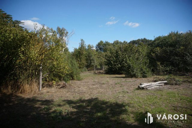 Eladó mezogazdasagi ingatlan, Csemőn 2.49 M Ft