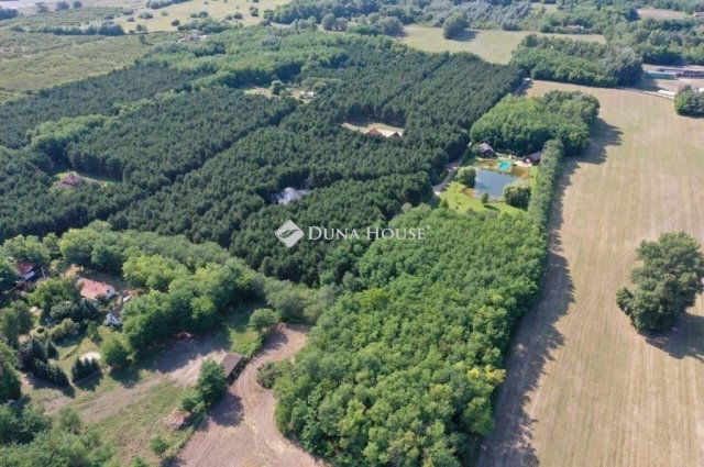 Eladó családi ház, Kecskeméten 400 M Ft, 10 szobás