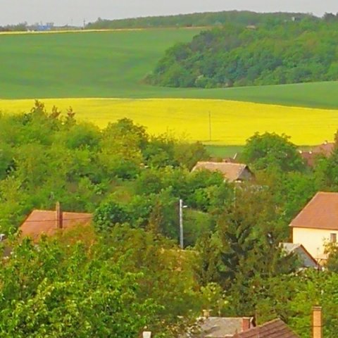 Eladó telek, Béren 1.98 M Ft / költözzbe.hu