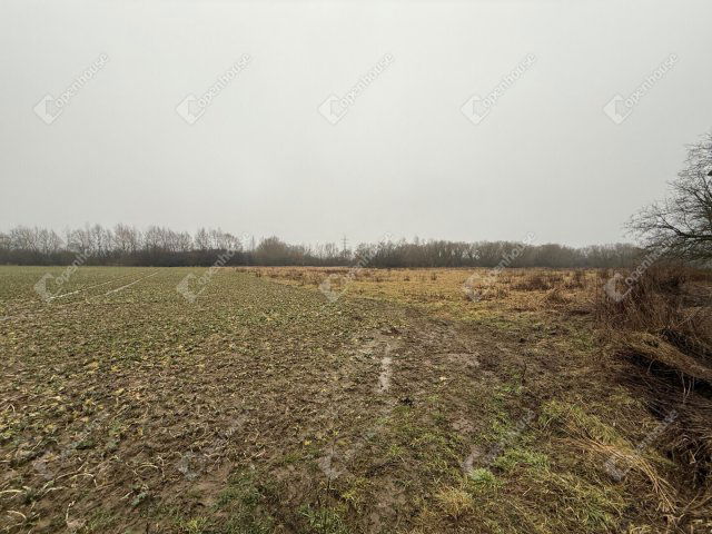 Eladó telek, Zalaegerszegen 4.9 M Ft / költözzbe.hu