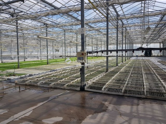 Eladó mezogazdasagi ingatlan, Kecskeméten 520 M Ft