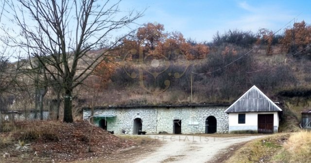 Eladó mezogazdasagi ingatlan, Felsőtárkányban 35 M Ft
