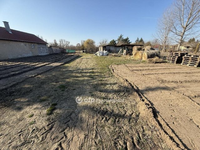 Eladó telek, Tiszakécskén 9.9 M Ft / költözzbe.hu