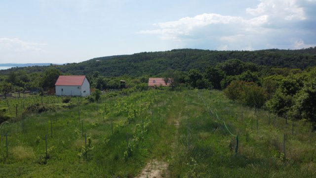 Eladó telek, Lovason 44 M Ft / költözzbe.hu