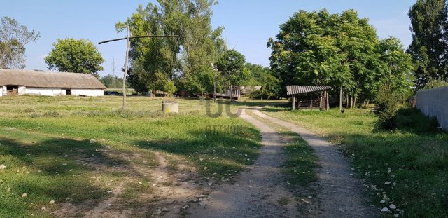 Eladó családi ház, Nagytarcsán 150 M Ft, 2 szobás