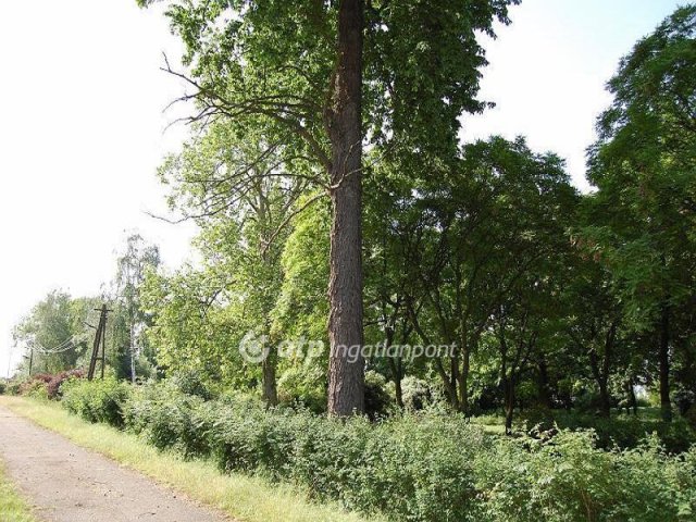 Eladó nyaraló, Csányon 199 M Ft, 1 szobás / költözzbe.hu