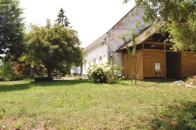 Eladó családi ház, Taliándörögdön 225 M Ft, 12 szobás