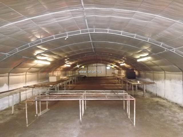 Eladó telek, Bugyin 33.9 M Ft / költözzbe.hu