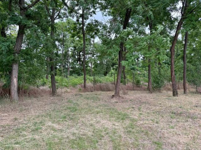 Eladó telek, Dabason 16.99 M Ft / költözzbe.hu