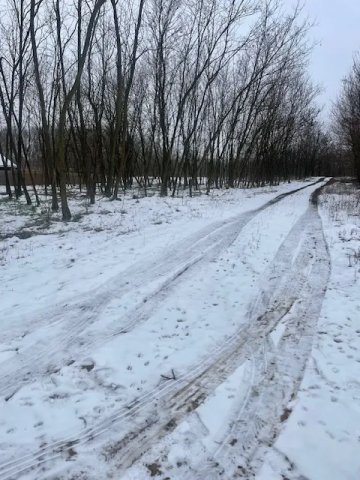 Eladó mezogazdasagi ingatlan, Nyíregyházán, Homok utcában