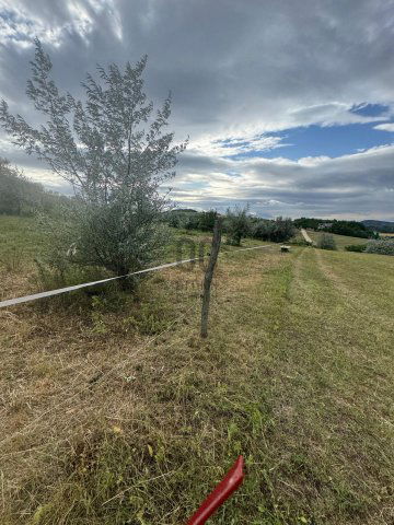Eladó telek, Piliscsabán 40 M Ft / költözzbe.hu