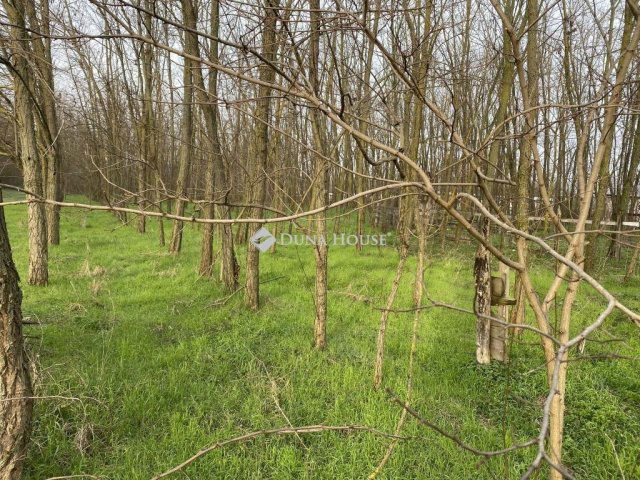 Eladó családi ház, Ladánybenén 49.99 M Ft, 3 szobás