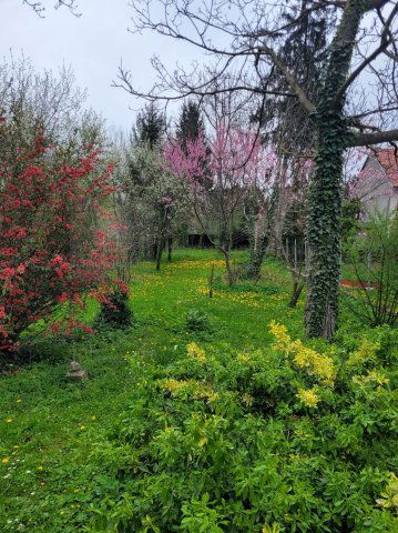 Eladó családi ház, Kőszegen 64.9 M Ft, 3 szobás