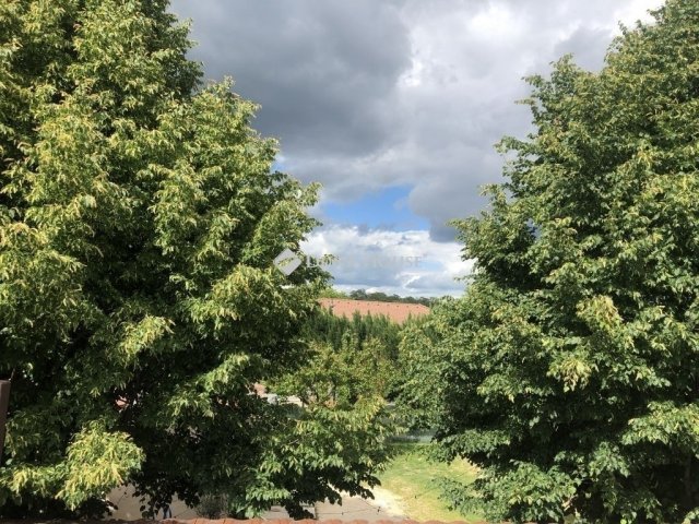 Eladó családi ház, Mogyoródon 137 M Ft, 5 szobás