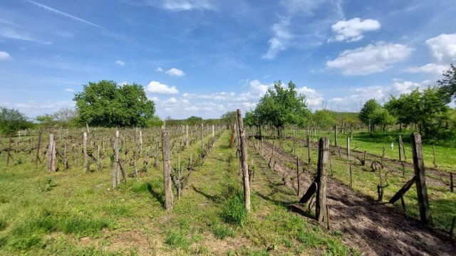 Eladó telek, Nagyberkin 2.5 M Ft / költözzbe.hu