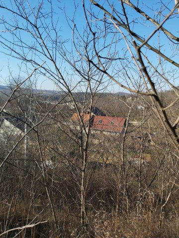 Eladó telek, Pilisjászfalun 16.5 M Ft / költözzbe.hu