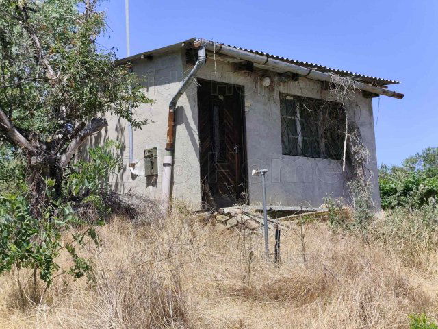 Eladó mezogazdasagi ingatlan, Tagyonon 20 M Ft