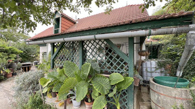 Eladó családi ház, Szekszárdon 55 M Ft, 3 szobás