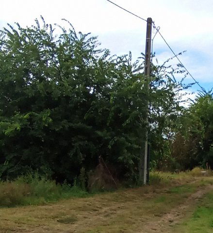 Eladó telek, Ráckevén 9.7 M Ft / költözzbe.hu