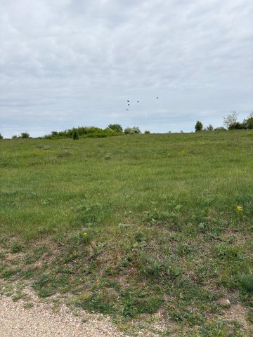 Eladó telek, Lesencetomajon 10.5 M Ft / költözzbe.hu