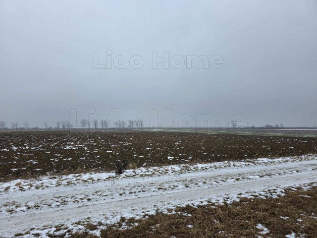 Eladó mezogazdasagi ingatlan, Peresztegen 10.5 M Ft