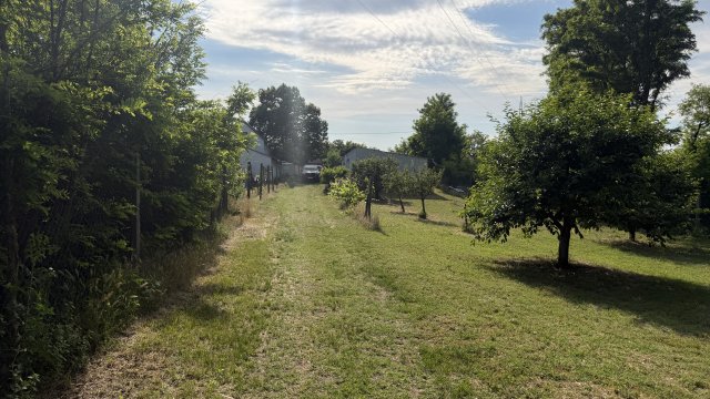 Eladó mezogazdasagi ingatlan, Baján 37.5 M Ft