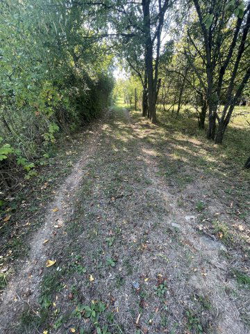 Eladó telek, Miskolcon 1.25 M Ft / költözzbe.hu
