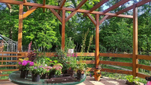 Eladó mezogazdasagi ingatlan, Monorierdőn 220 M Ft, 7+1 szobás