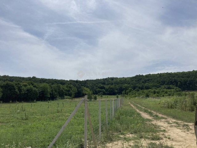 Eladó telek, Nagykovácsiban 89 M Ft / költözzbe.hu