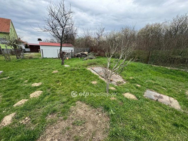 Eladó családi ház, Tiszacsegén 25 M Ft, 4+1 szobás