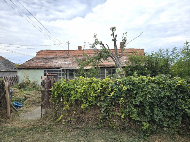 Eladó családi ház, Dunapatajon 3 M Ft, 1 szobás