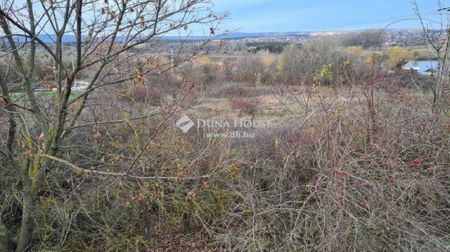 Eladó telek, Várpalotán 24.9 M Ft / költözzbe.hu