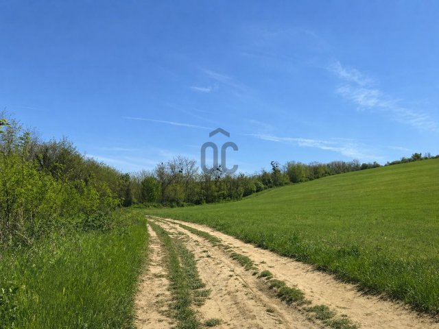 Eladó telek, Zalaszentgróton 1.9 M Ft / költözzbe.hu