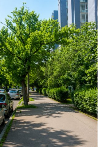 Eladó téglalakás, Budapesten, XIII. kerületben 74.9 M Ft