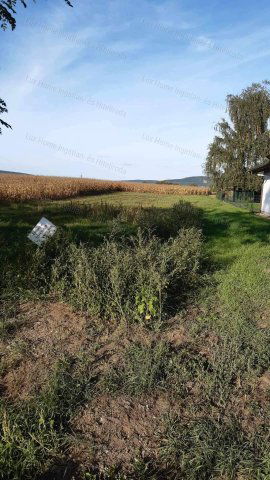 Eladó telek, Tarjánon 15.2 M Ft / költözzbe.hu