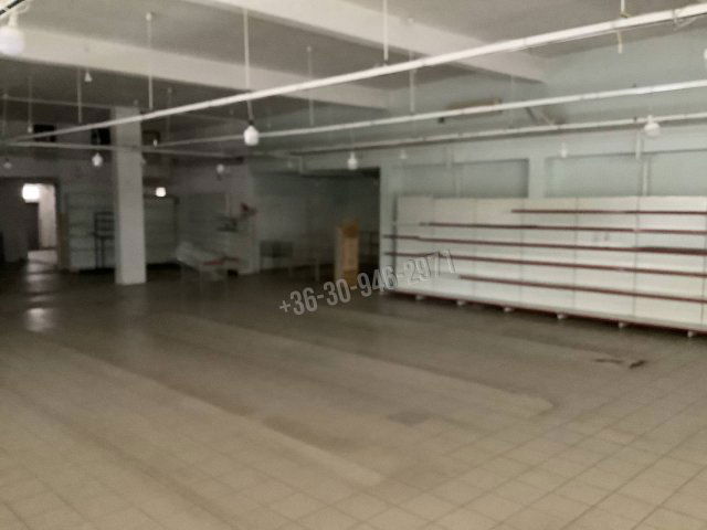 Eladó üzlethelyiség, Békéscsabán 200 M Ft