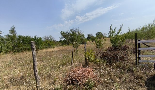 Eladó mezogazdasagi ingatlan, Nagykónyin 4.6 M Ft