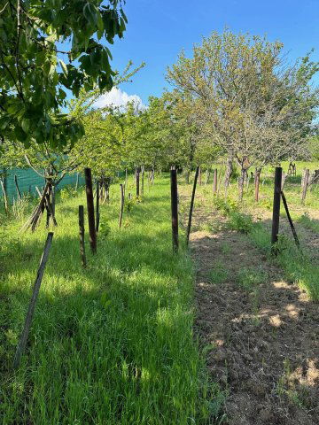 Eladó mezogazdasagi ingatlan, Iszkaszentgyörgyön 15.35 M Ft