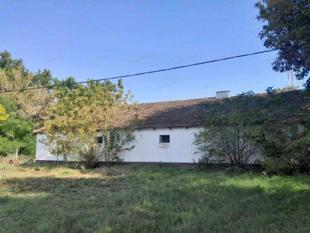 Eladó mezogazdasagi ingatlan, Kerekegyházán 65 M Ft