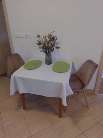 Kiadó téglalakás, albérlet, Pécsett, Antal utcában, 1+1 szobás